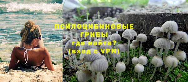 амф Кукмор