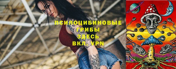 ГАЛЛЮЦИНОГЕННЫЕ ГРИБЫ Куйбышев