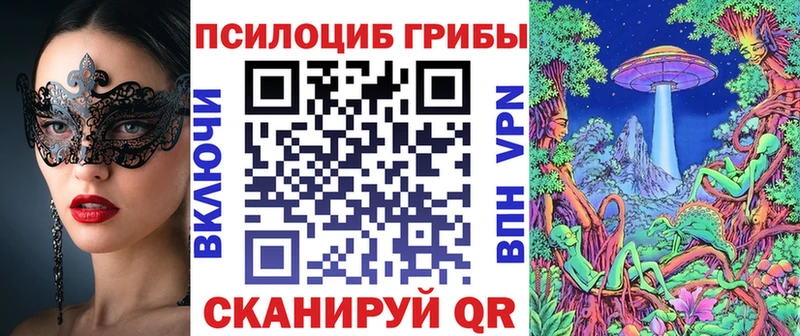 Галлюциногенные грибы мухоморы  это какой сайт  Сураж 